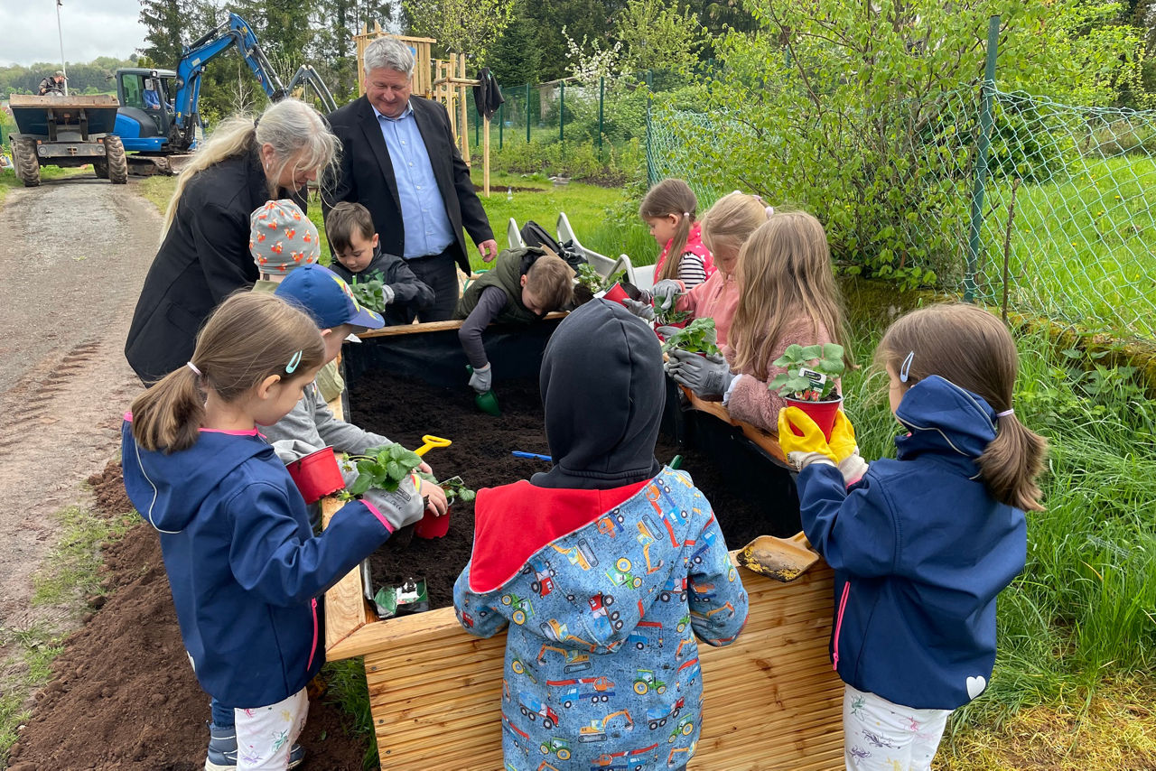 Eine Gruppe Kinder setzt Pflanzen in ein Hochbeet