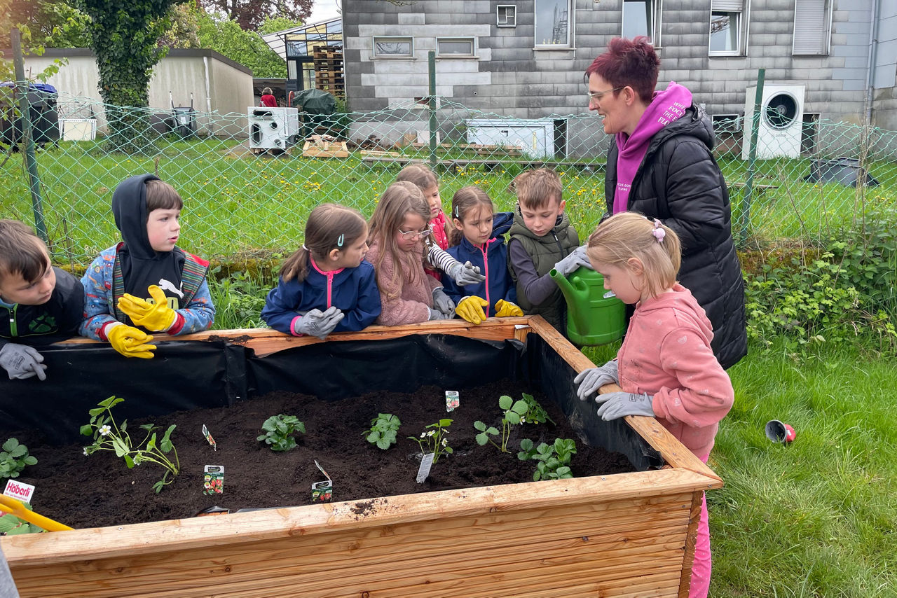 Eine Gruppe Kinder setzt Pflanzen in ein Hochbeet