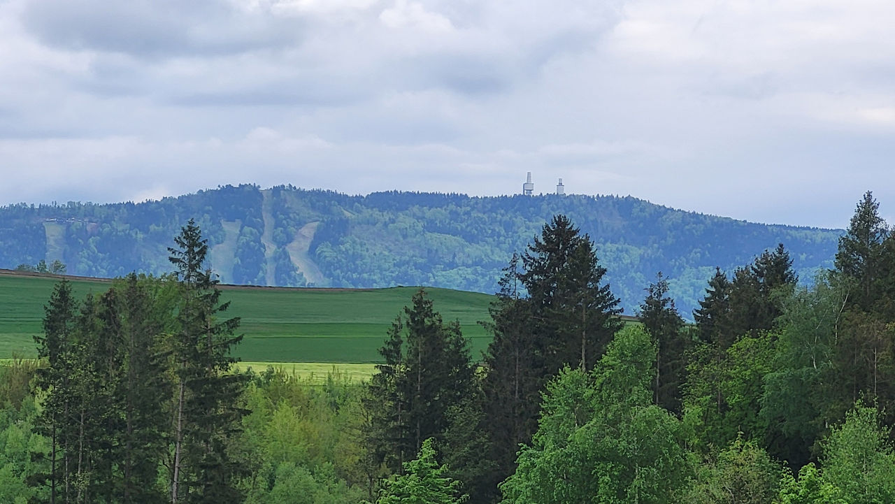 Bild vom Hohenbogen von Neukirchen aus gesehen