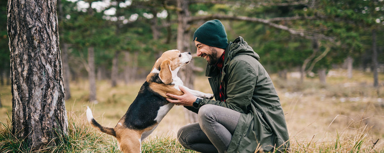 Mann und Hund begrüßen sich im Wald