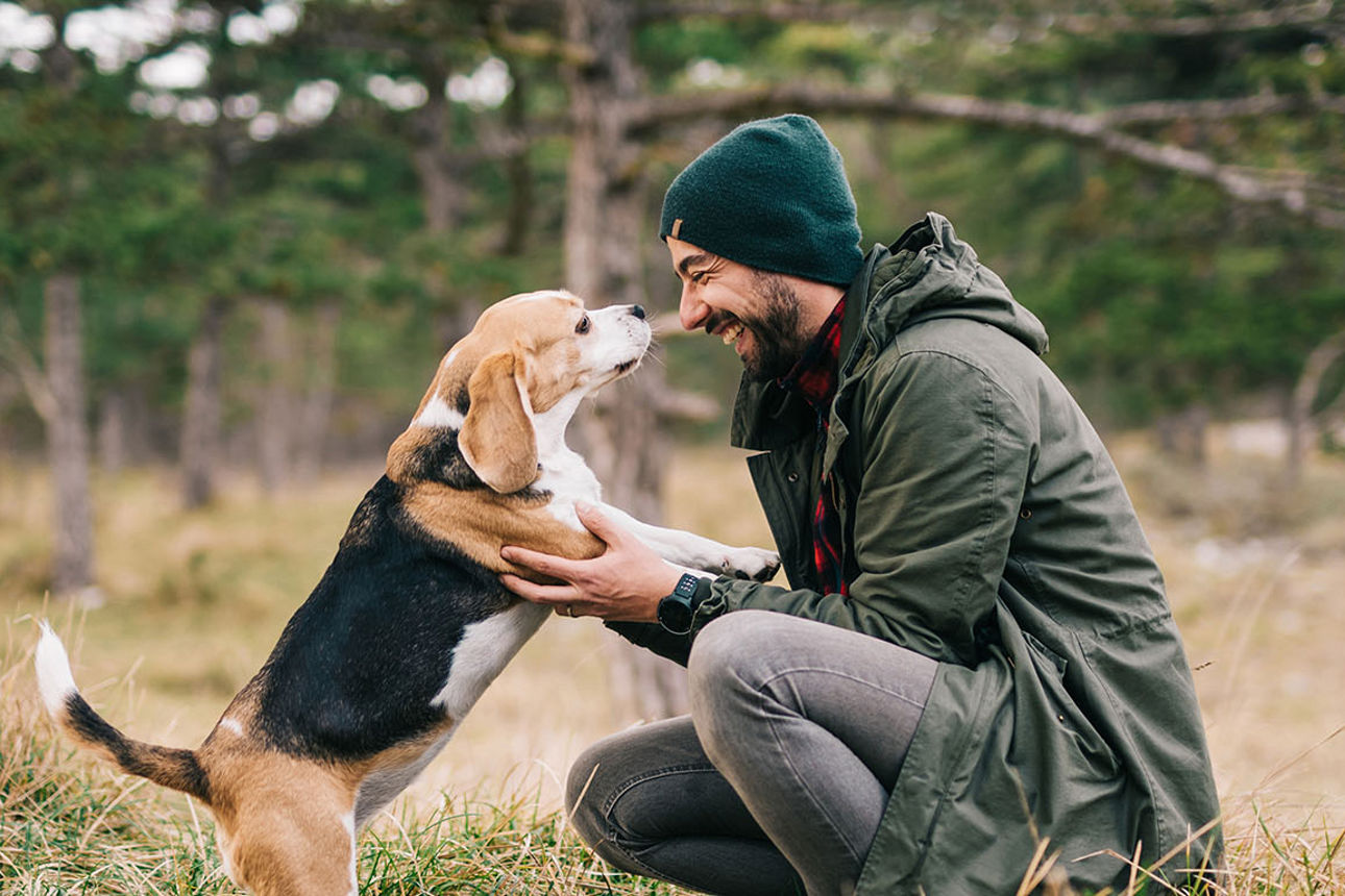 Mann und Hund begrüßen sich im Wald
