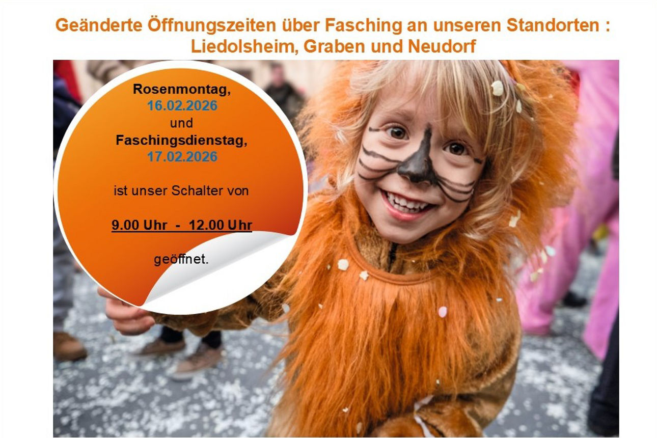 Kind in Karnevalskostüm lächelt in die Kamera