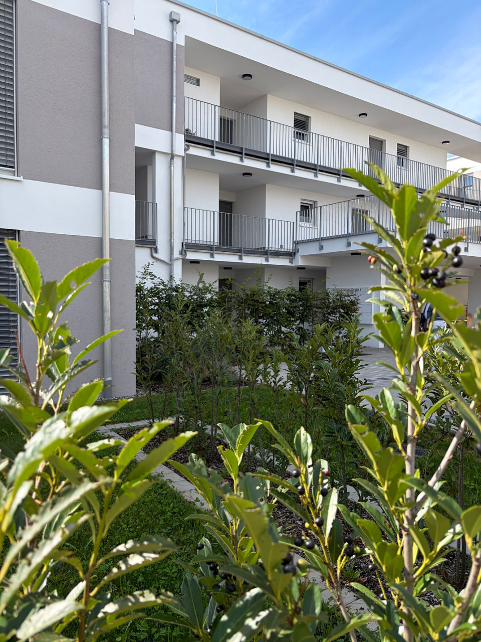 Visualisierung eines modernen, mehrgeschossigen Wohngebäudes mit großzügigen Balkonen, heller Fassade und Holzverkleidung.