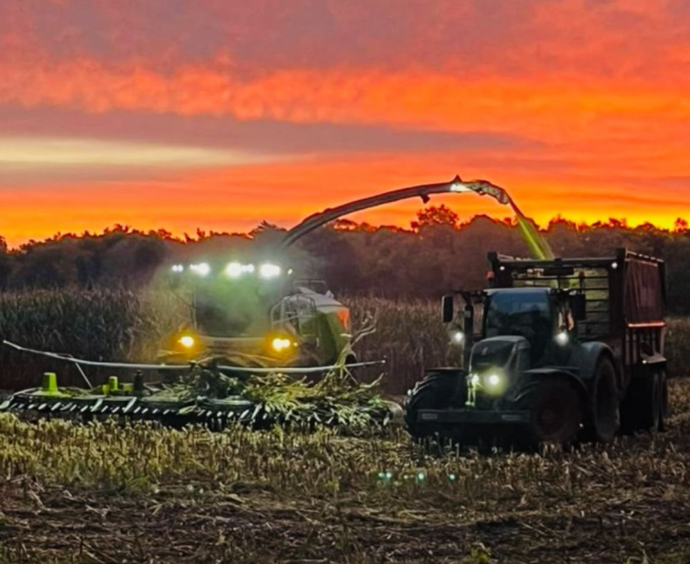 Immer mehr Radler fahren elektrisch