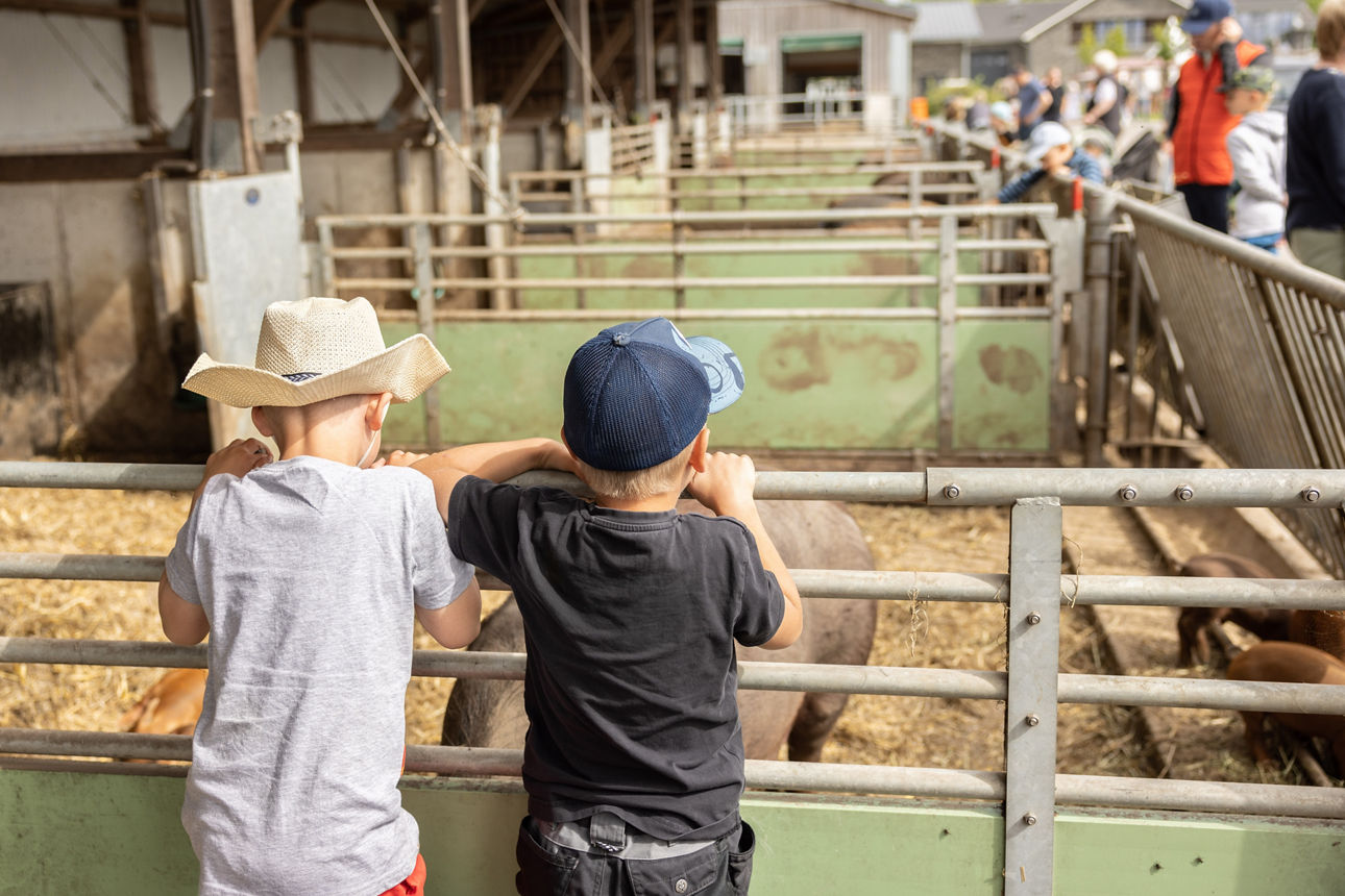 Zwei Kinder lehnen am Gatter eines offenen Schweinestalls.