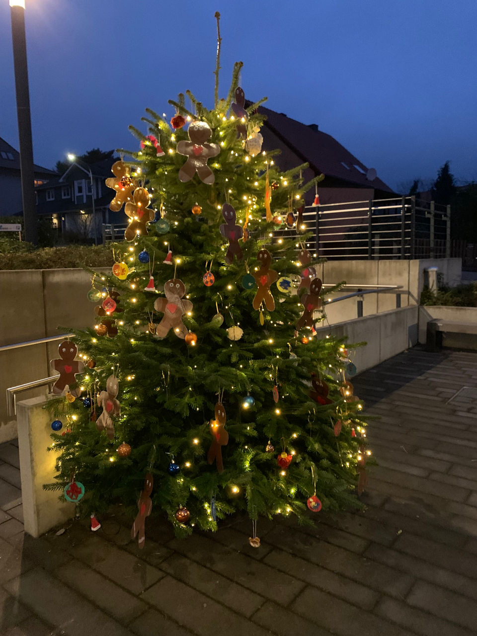Beleuchteter Weihnachtsbaum