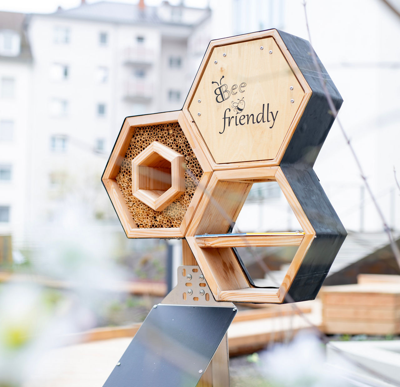 Der Insector des Mannheimer Start-ups Bee friendly dokumentiert, welche Insektenarten den Garten nutzen und wie sich die Popu