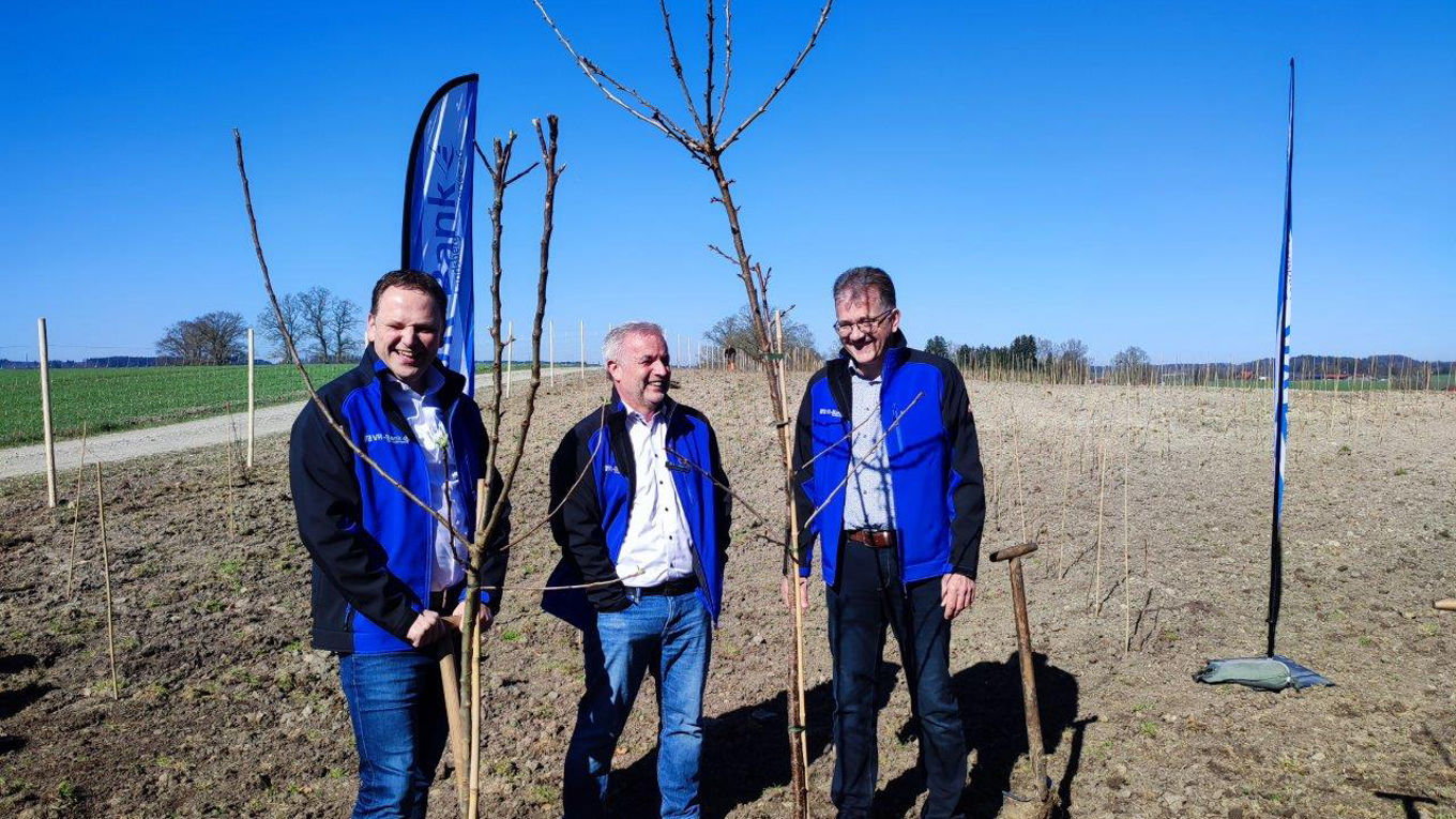 Die VR-Baumpflanzaktion 2025