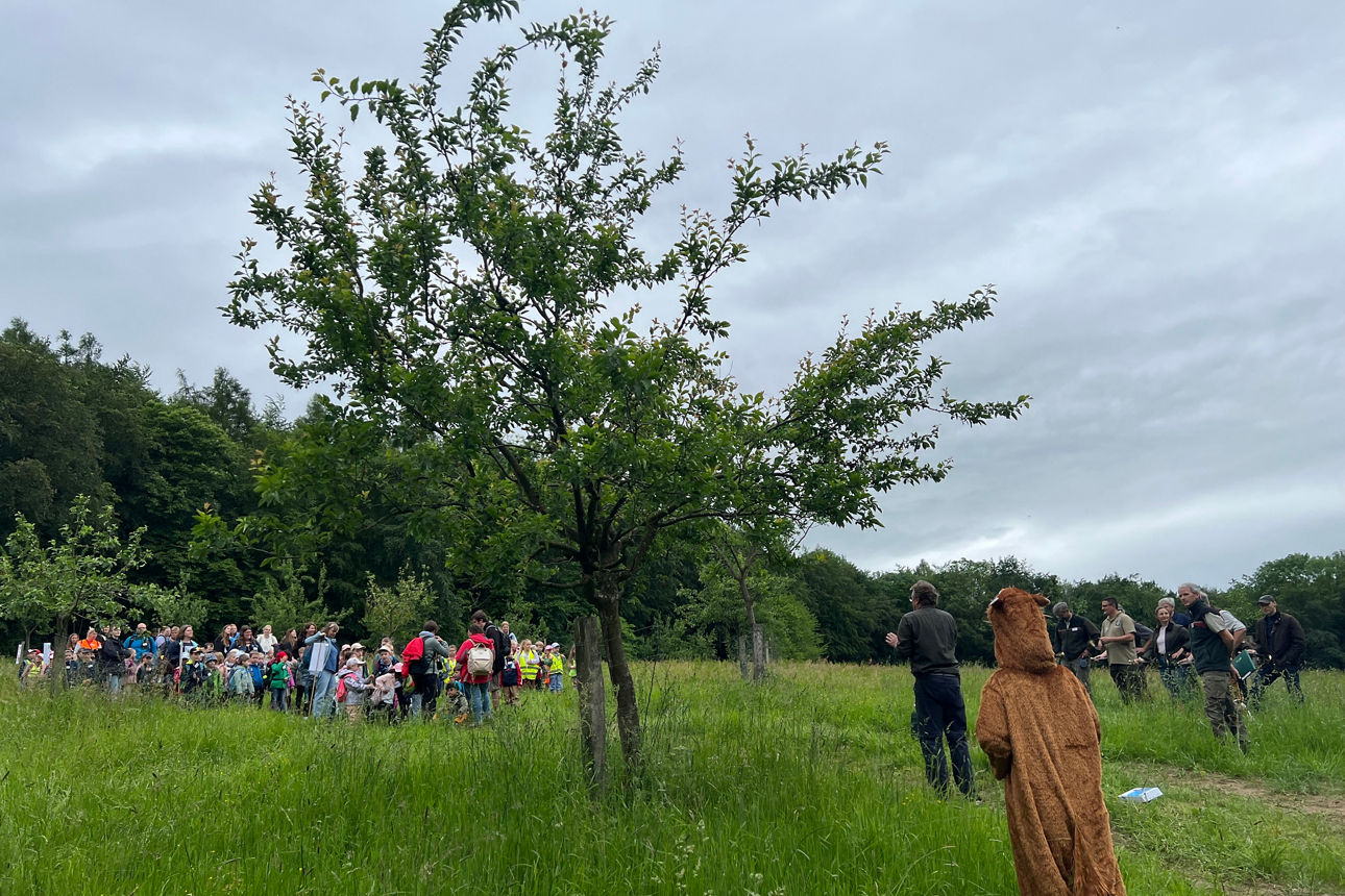 Eine Wiese mit Menschen