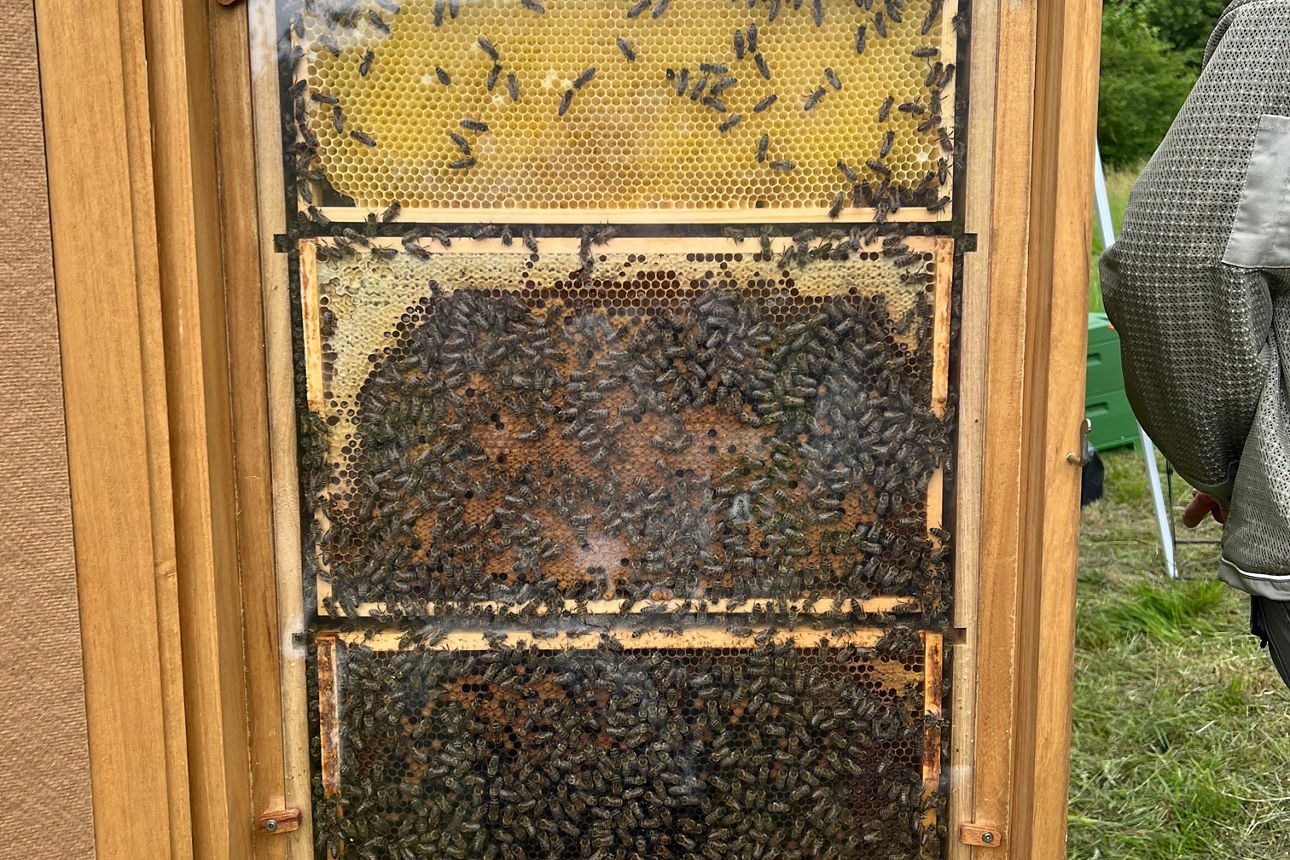 Ein Bienenstock