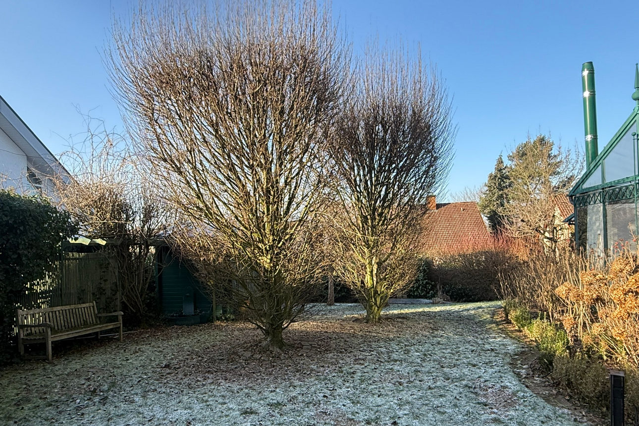 1-Familienwohnhaus Holzminden 4