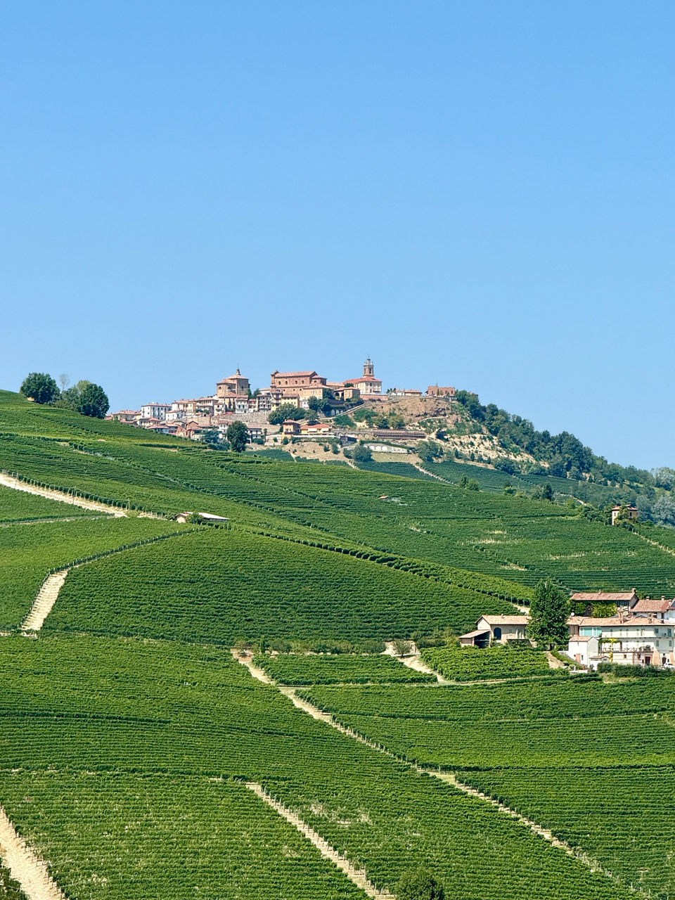 Es ist die Hügellandschaft der Langhe zu sehen mit einer Stadt im Hintergrund.