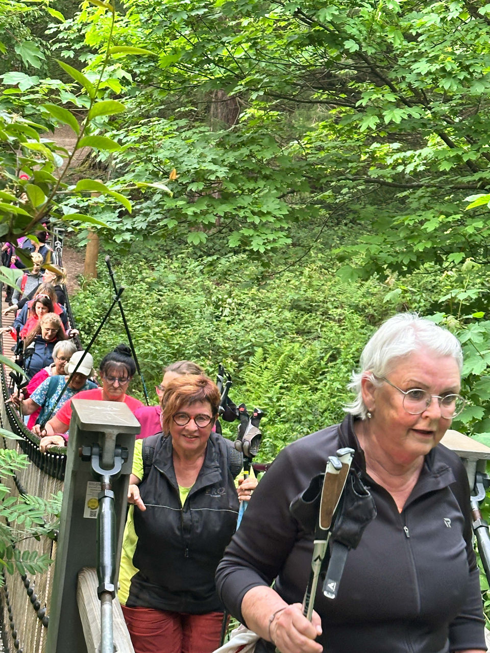 Blütenlauf Frauen-Banking 2025