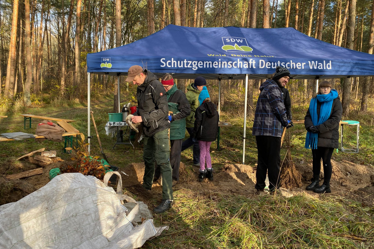 Verpflegungspavillion im Wald