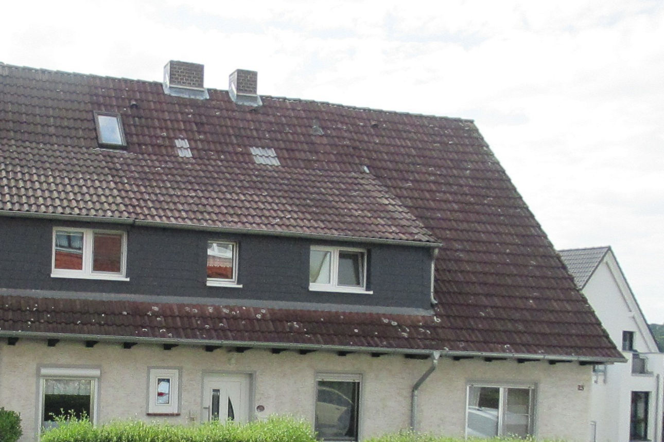 DHH Niestetal-Sandershausen 5