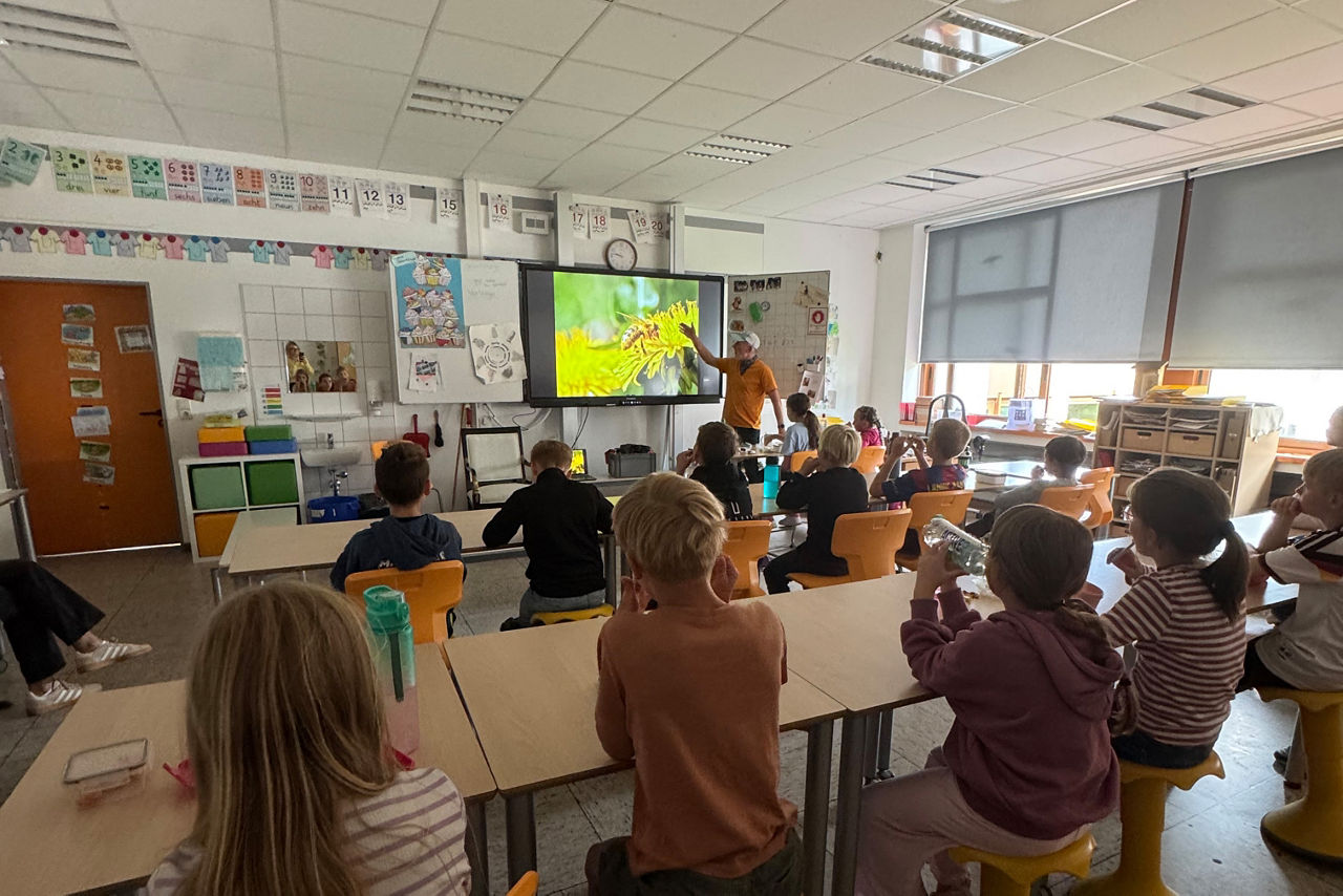 Grundschulkinder sitzen in einem Klassenraum und verfolgen eine Präsentation über Natur und Insekten.