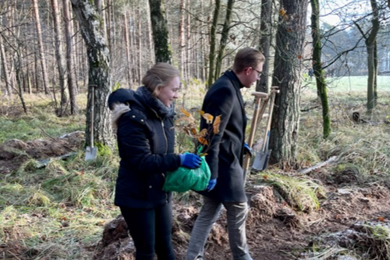 Kollegen mit Sätzlingen und Spaten