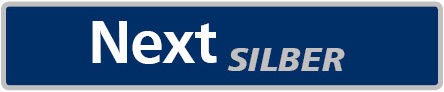 Icon_Silber_Next