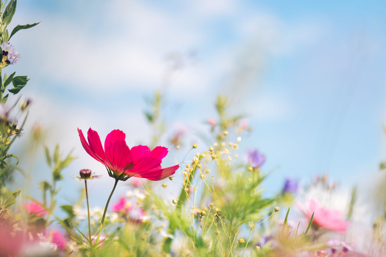 Mädchen, das Weltkugel umarmt