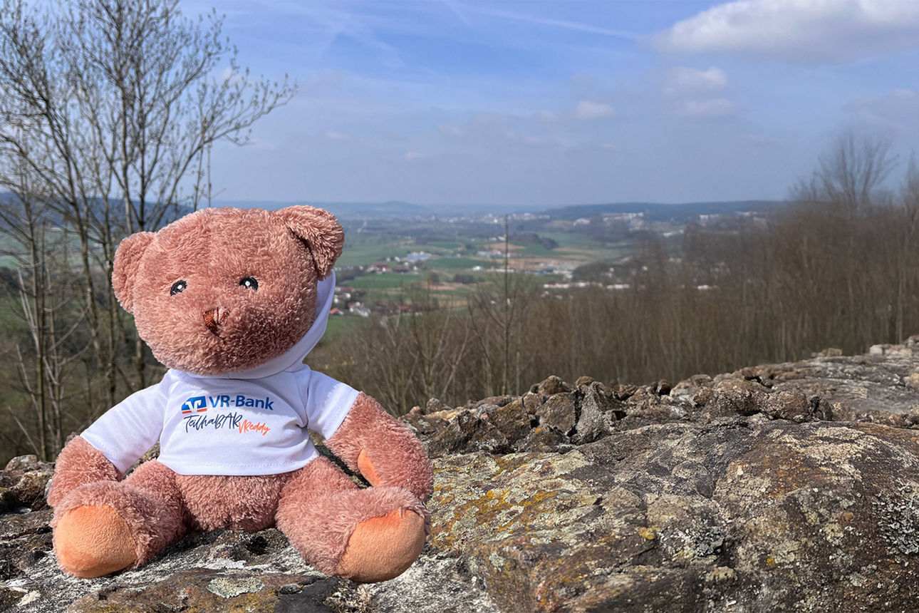Teddybär sitzt auf einem Stein 