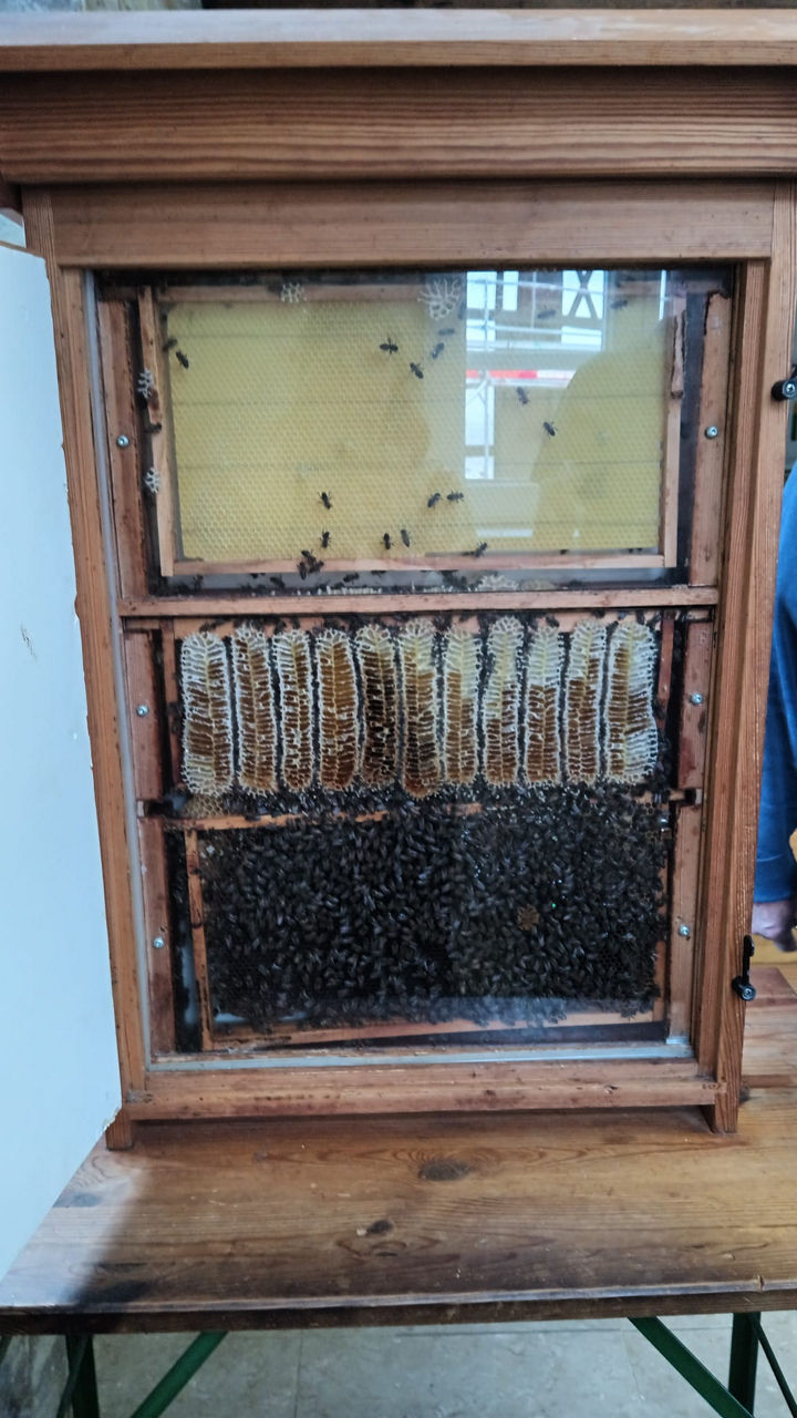 Bienenstock