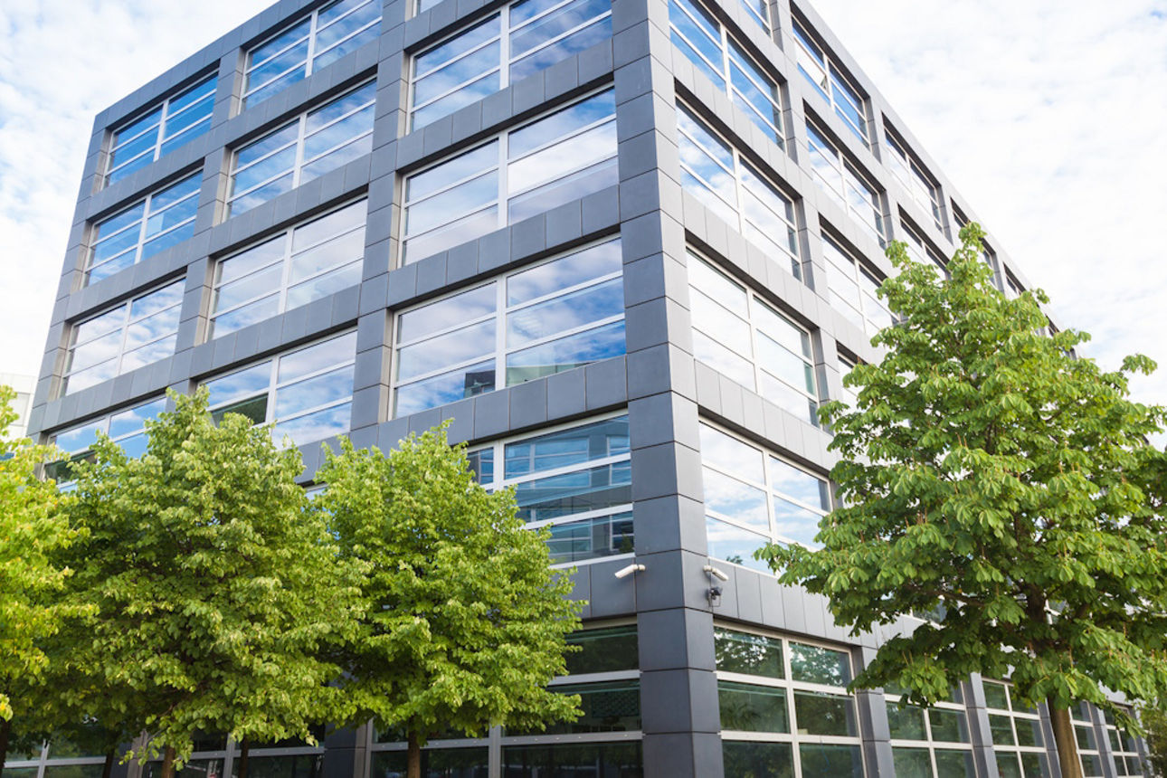 Ein Bürogebäude steht zwischen Bäumen