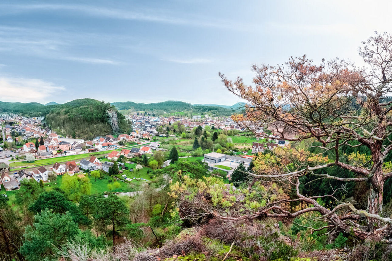 Panoramablick auf eine idyllische Stadt inmitten grüner Hügel, mit Bäumen im Vordergrund und blauem Himmel.