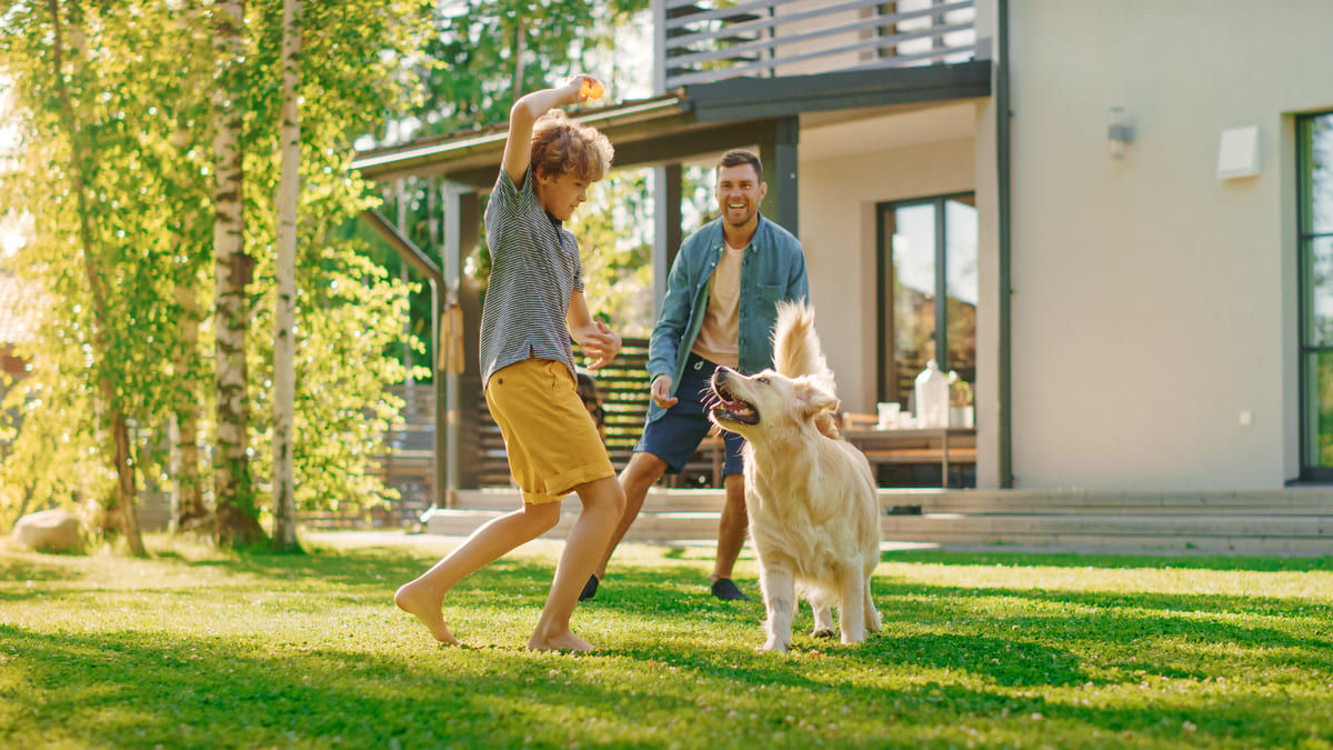 Vater und Sohn spielen zusammen mit Ihrem Golden Retriever im Garten vor dem Eigenheim
