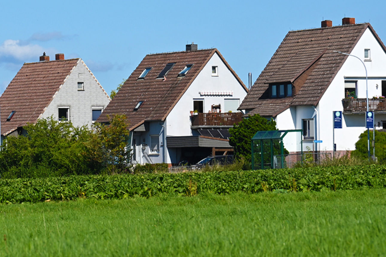 Sieben Einfamilienhäuser davor eine grüne Wiese