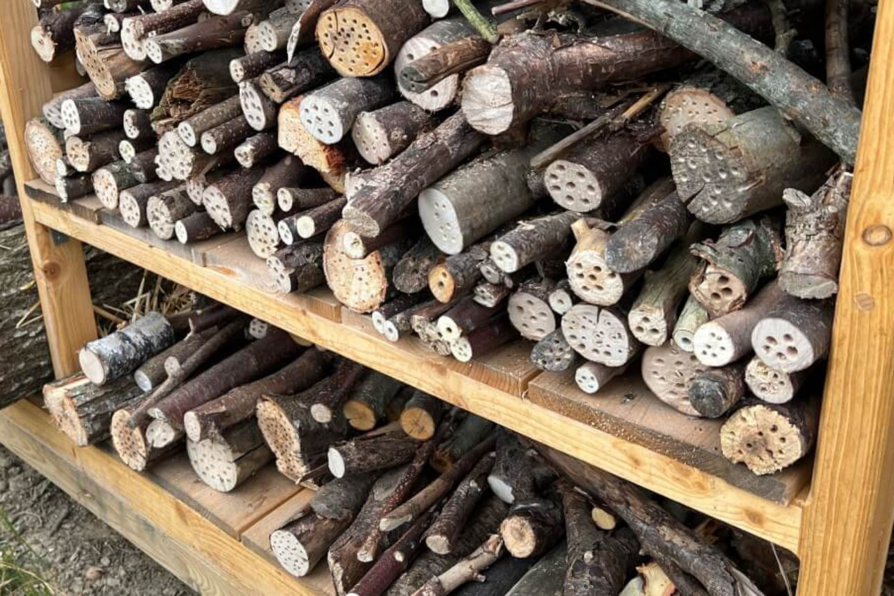 Inhalt des Insektenhotels