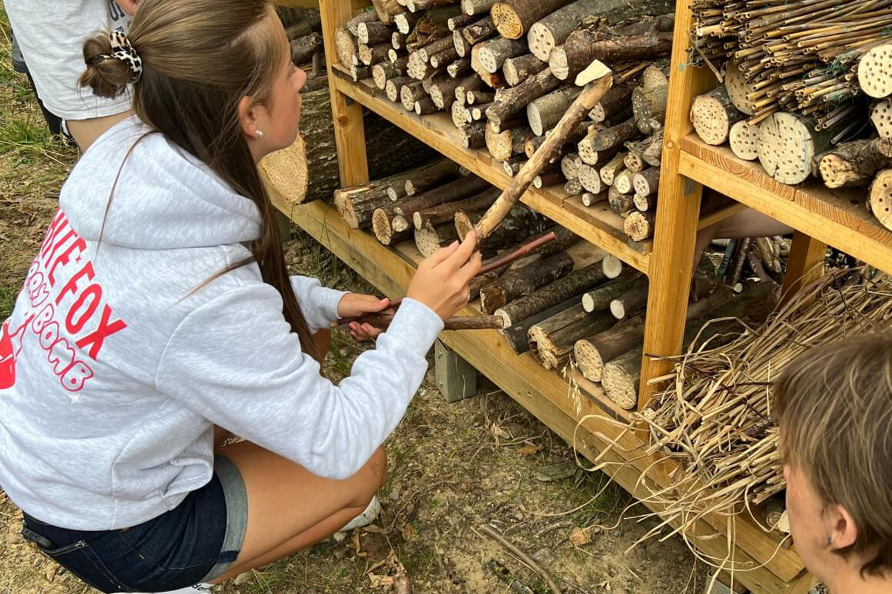 Schülerin Amelie räumt das Insektenhotel mit Ästen ein