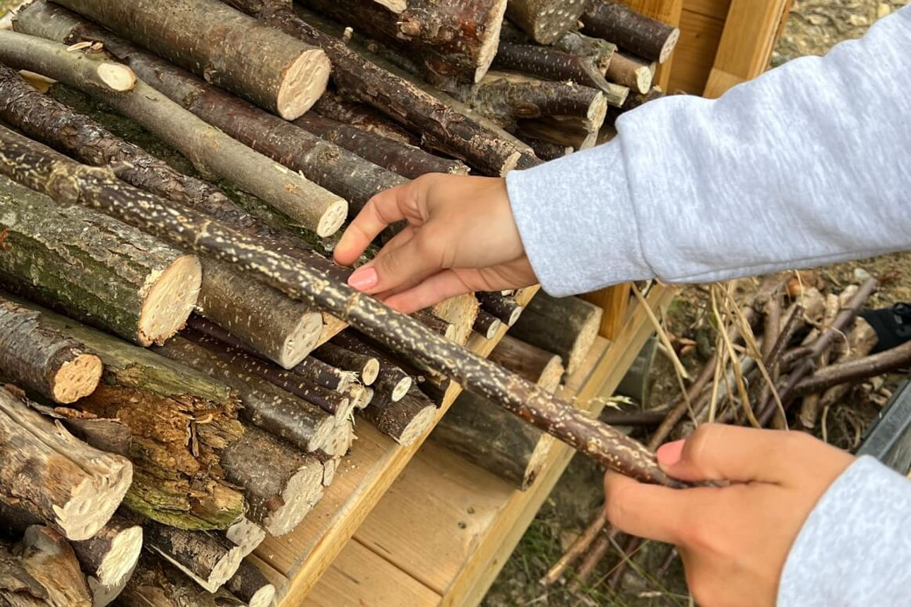 Nahaufnahme von Händen, die Äste ins Insektenhotel legen
