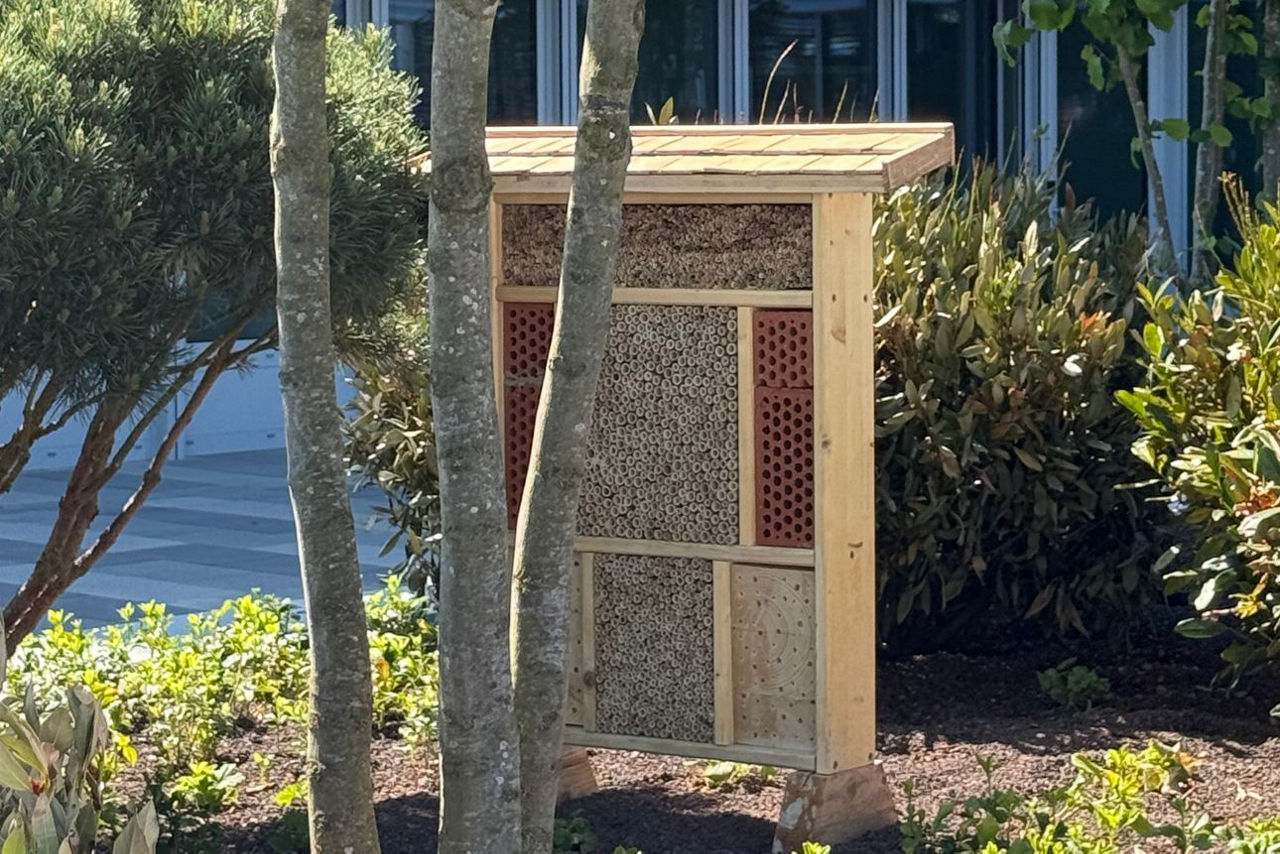 Insektenhotel auf dem DonauTower