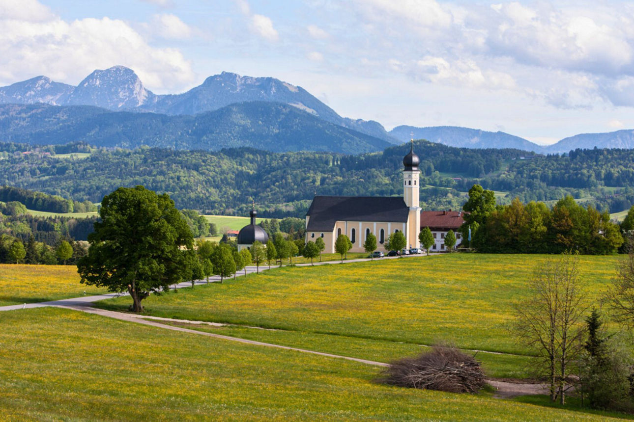 Eine malerische Landschaftsaufnahme mit einer großen, hellgelben Kirche mit dunklem Zwiebelturm in der Mitte. Sie ist umgeben von grünen Wiesen mit gelben Blumen und einer Baumallee, die auf die Kirche zuführt. Im Hintergrund erheben sich hohe, bewaldete Berge unter einem teilweise bewölkten Himmel.