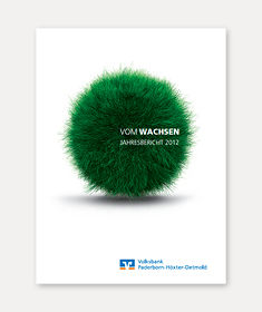 Cover Jahresbericht 2012: Wachsen