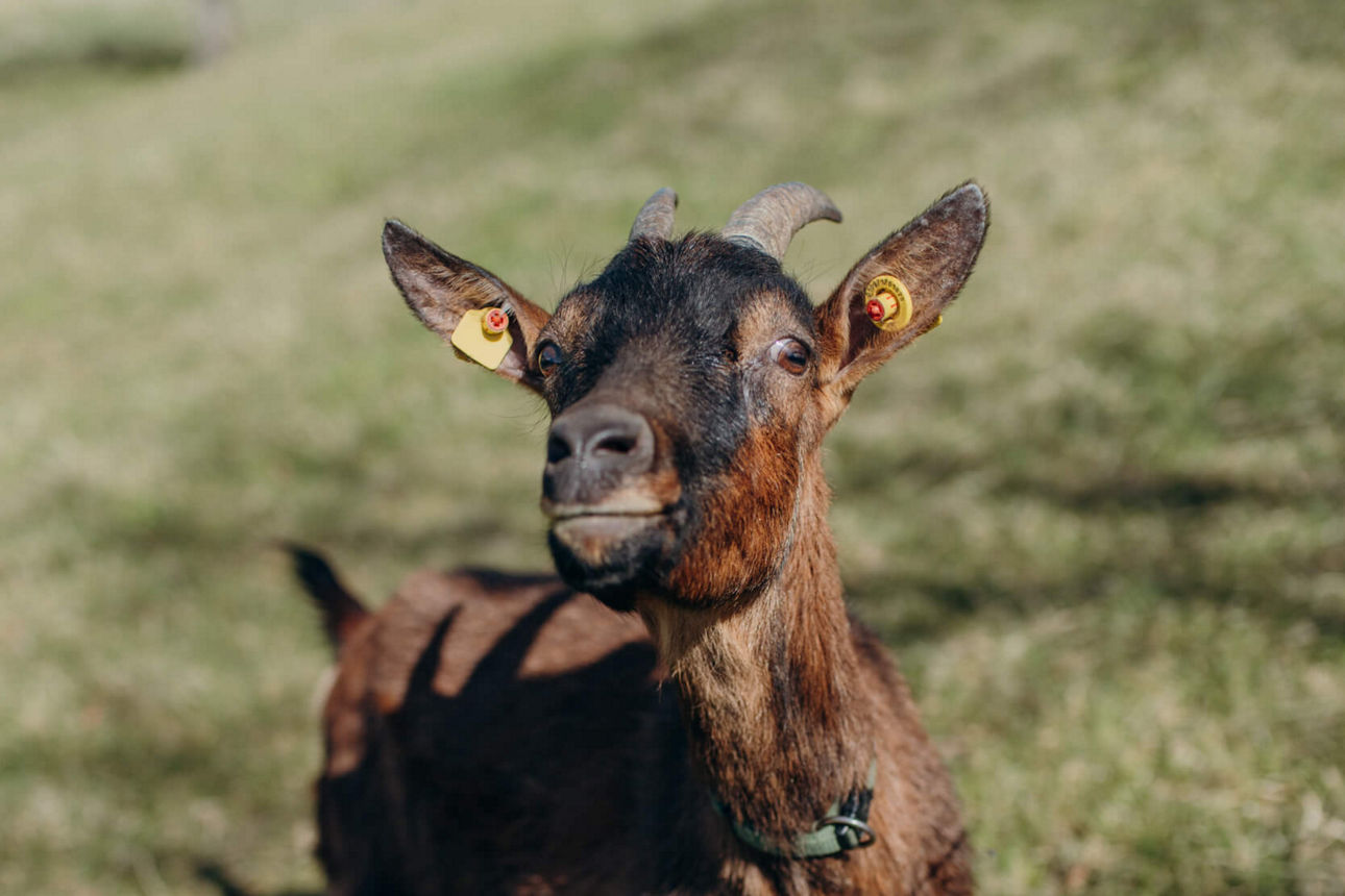 Bild 19: Jakobsweg Unterallgäu – pilgern  auf den Spuren von Kneipp.