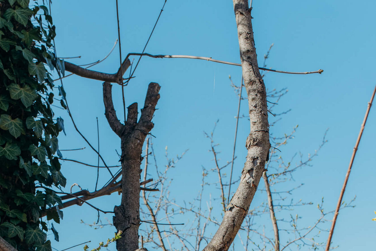 Bild 26: Jakobsweg Unterallgäu – pilgern  auf den Spuren von Kneipp.