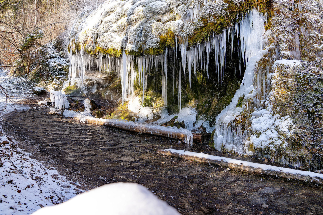 Vereistes Drachenmaul in der Wutachschlucht