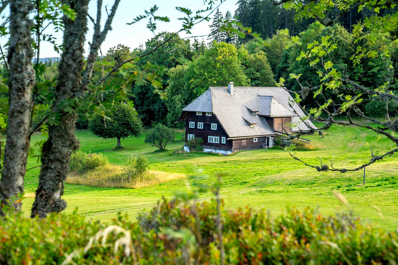 Schwarzwaldhaus am Waldesrand