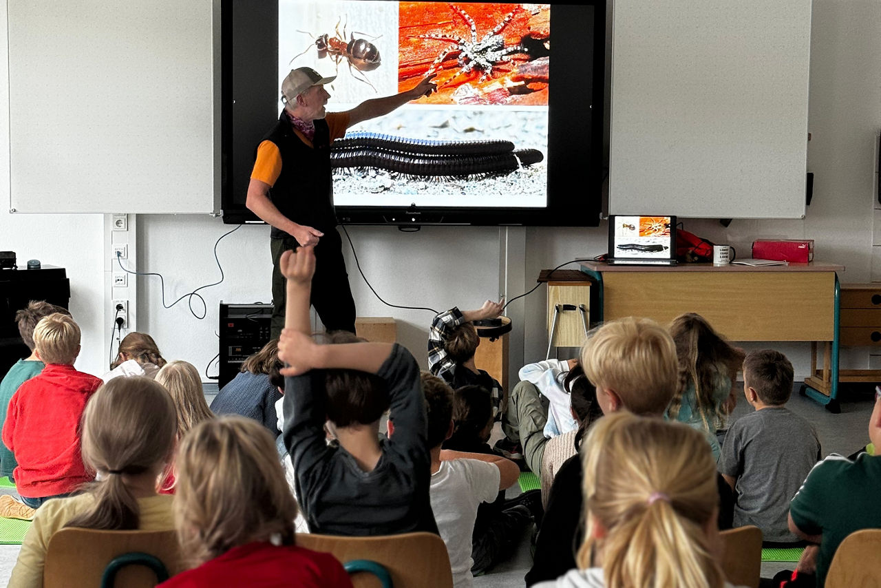 Kinder sitzen auf dem Boden und auf Stühlen in einem Klassenraum und verfolgen gespannt einen Vortrag über Insekten und Spinnentiere. Der Referent zeigt auf einem Bildschirm verschiedene Nahaufnahmen von Krabbeltieren.