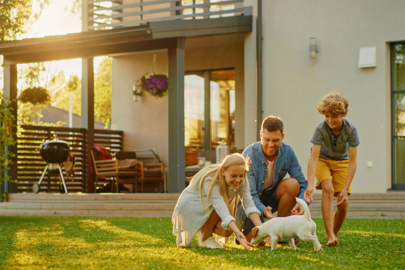 Vater, Mutter und Kind spielen glücklich im Garten mit einem Hund