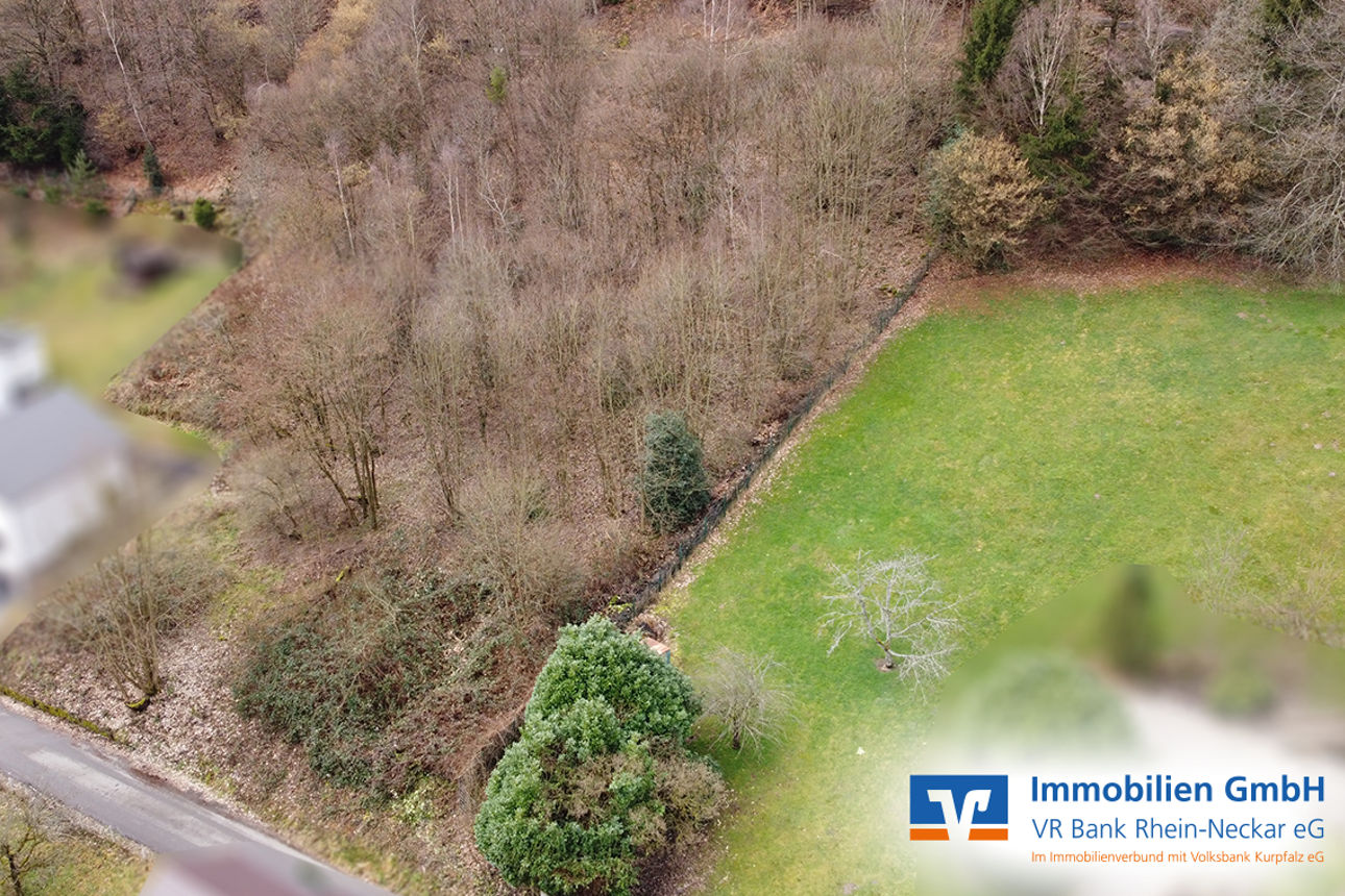 Bild der Immobilie der Woche im Raum Rhein-Neckar