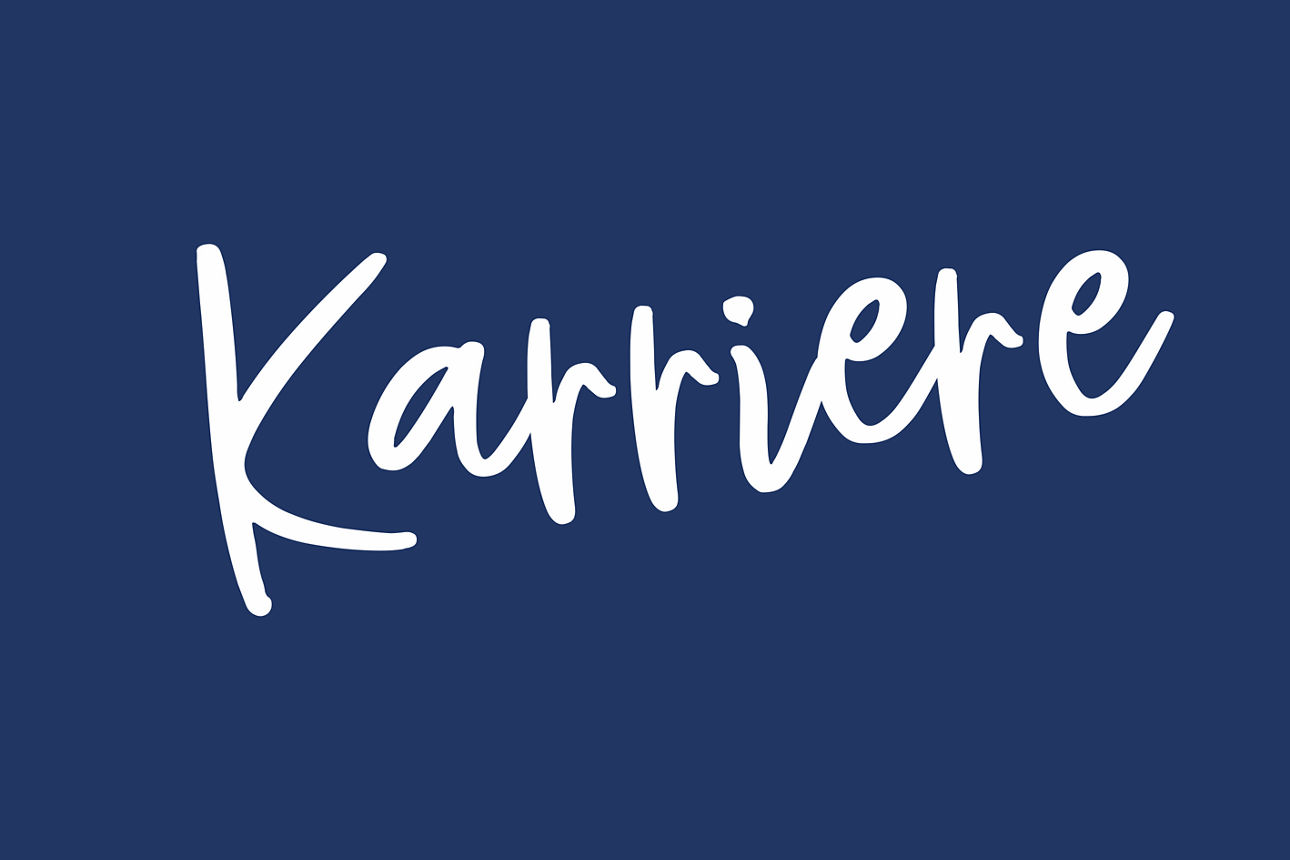 Karriere Schriftzug weiß auf dunkelblau