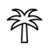 Piktogramm Palme