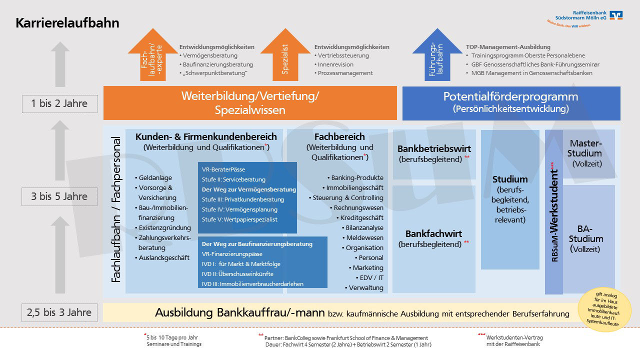 Abbildung Karrierelaufbahn