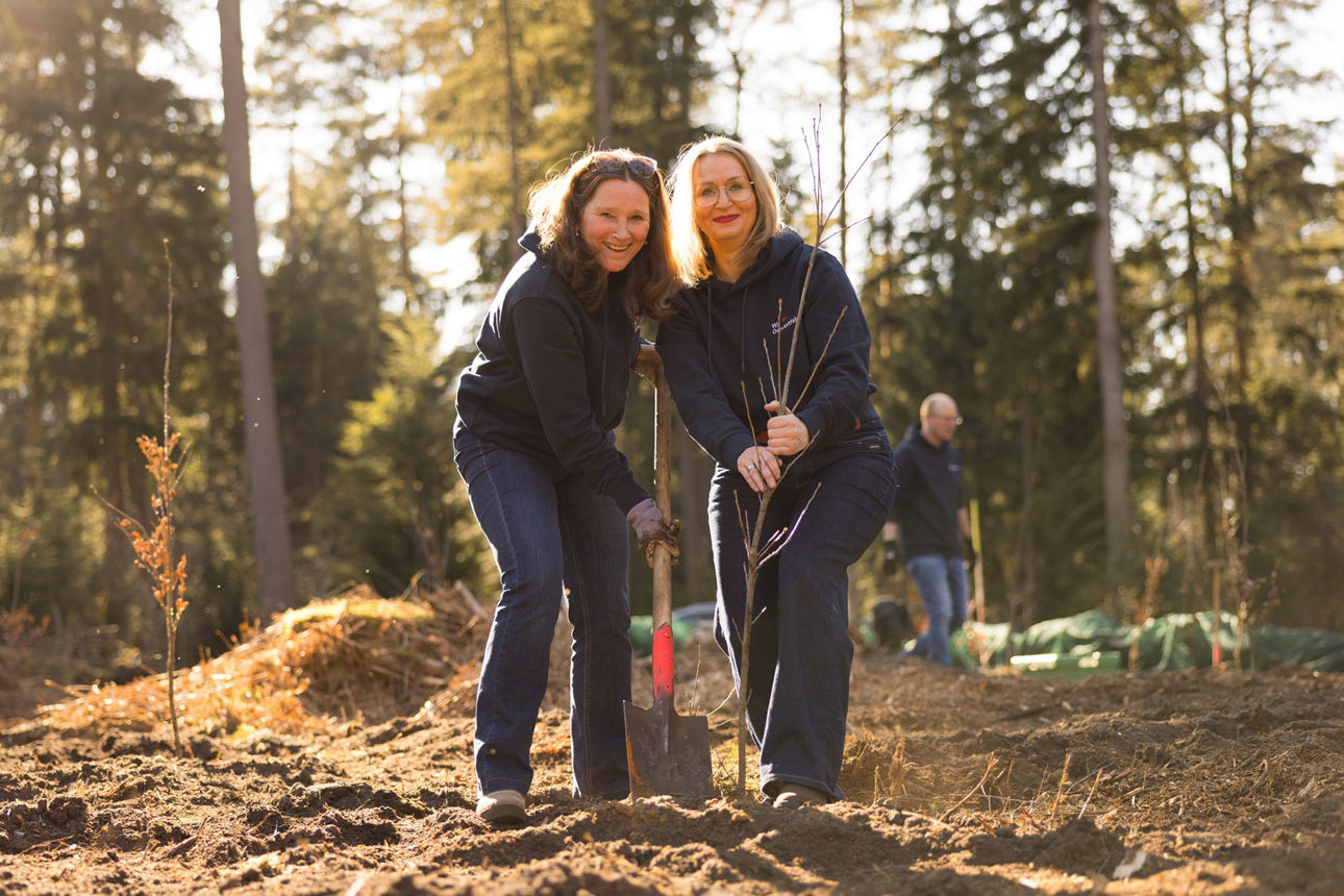 Zwei Mitarbeiterinnen pflanzen gemeinsam als Team einen Baum im Wald ein.