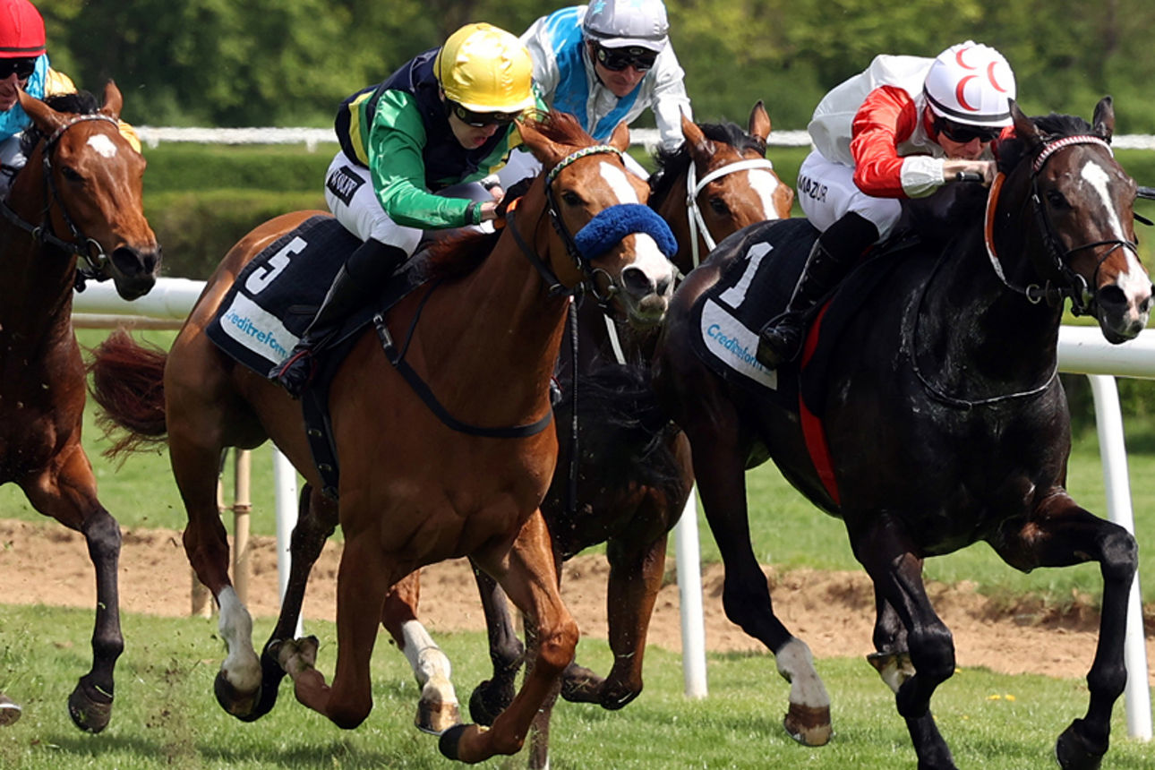 Pferde rennen und Ticket Code