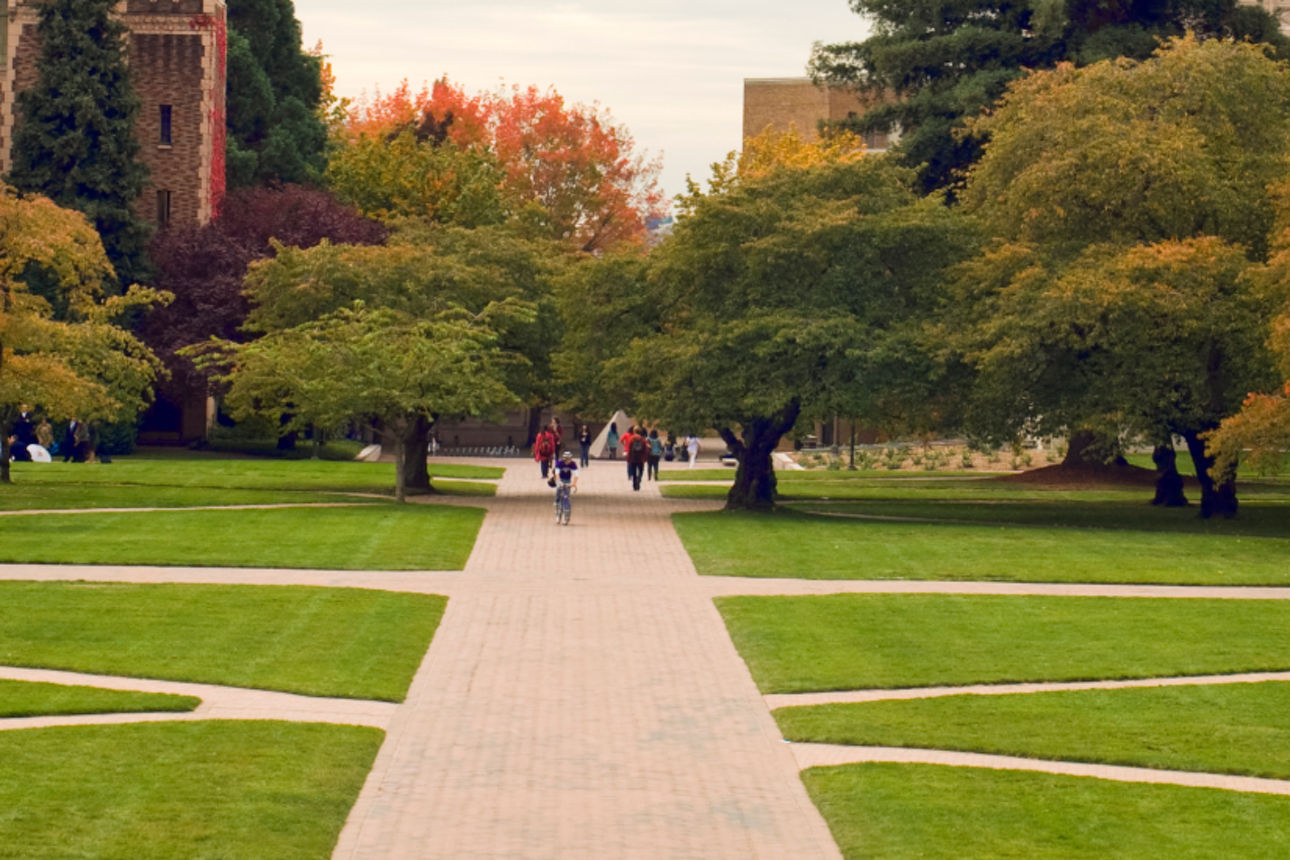 Ein weitläufiger Universitätscampus mit grünen Rasenflächen und einem gepflasterten Weg.