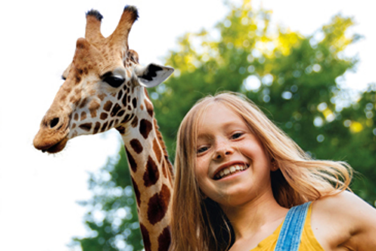 Ein lächelndes junges Mädchen sitzt neben einer Giraffe, beide schauen in die Kamera