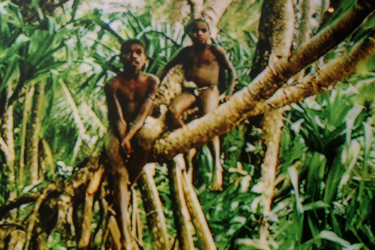 Zwei Menschen sitzen auf einem Baum im Urwald